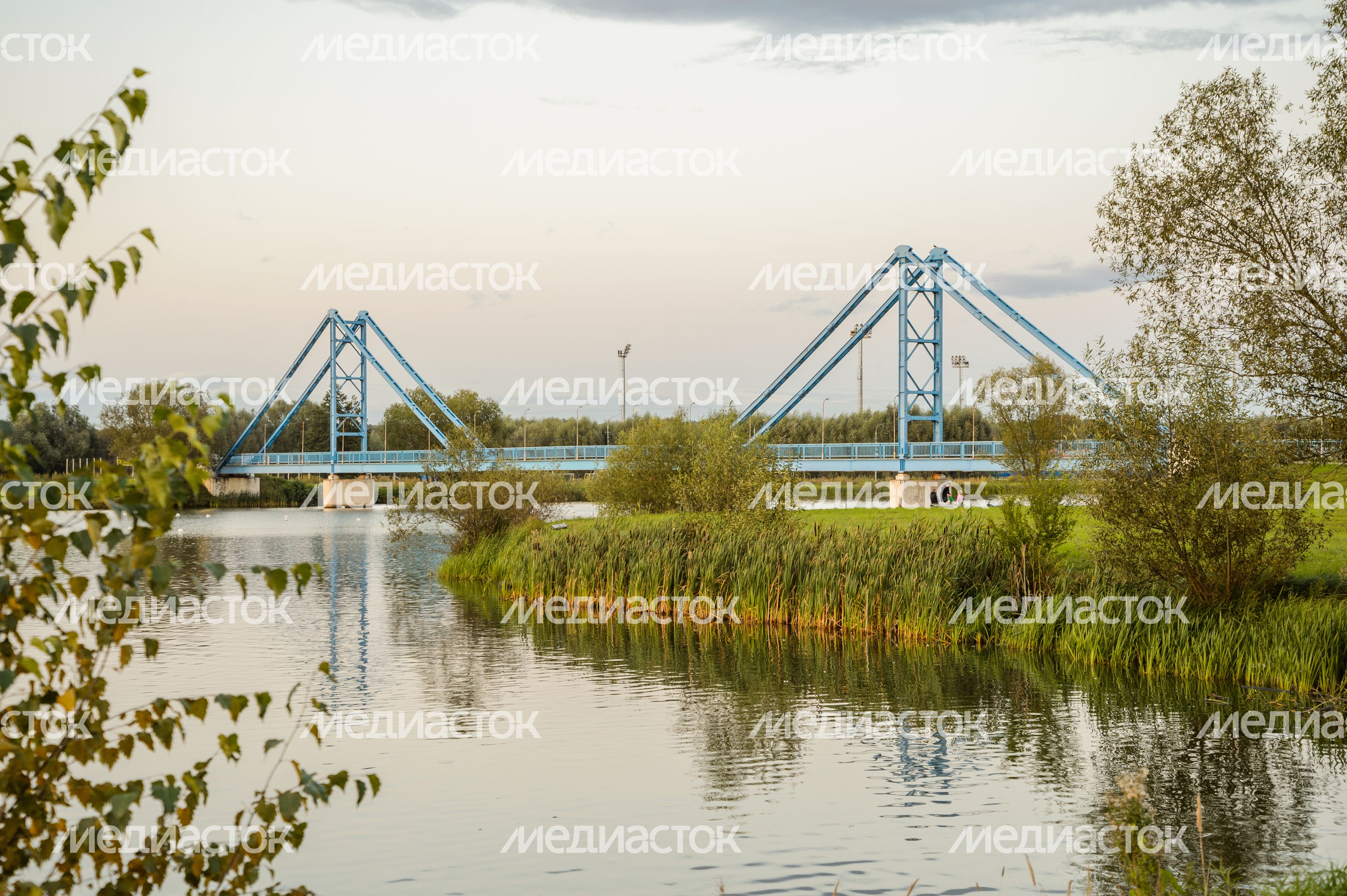 Бронницы. "Крымский мост" Бронницы. "Крымский мост"