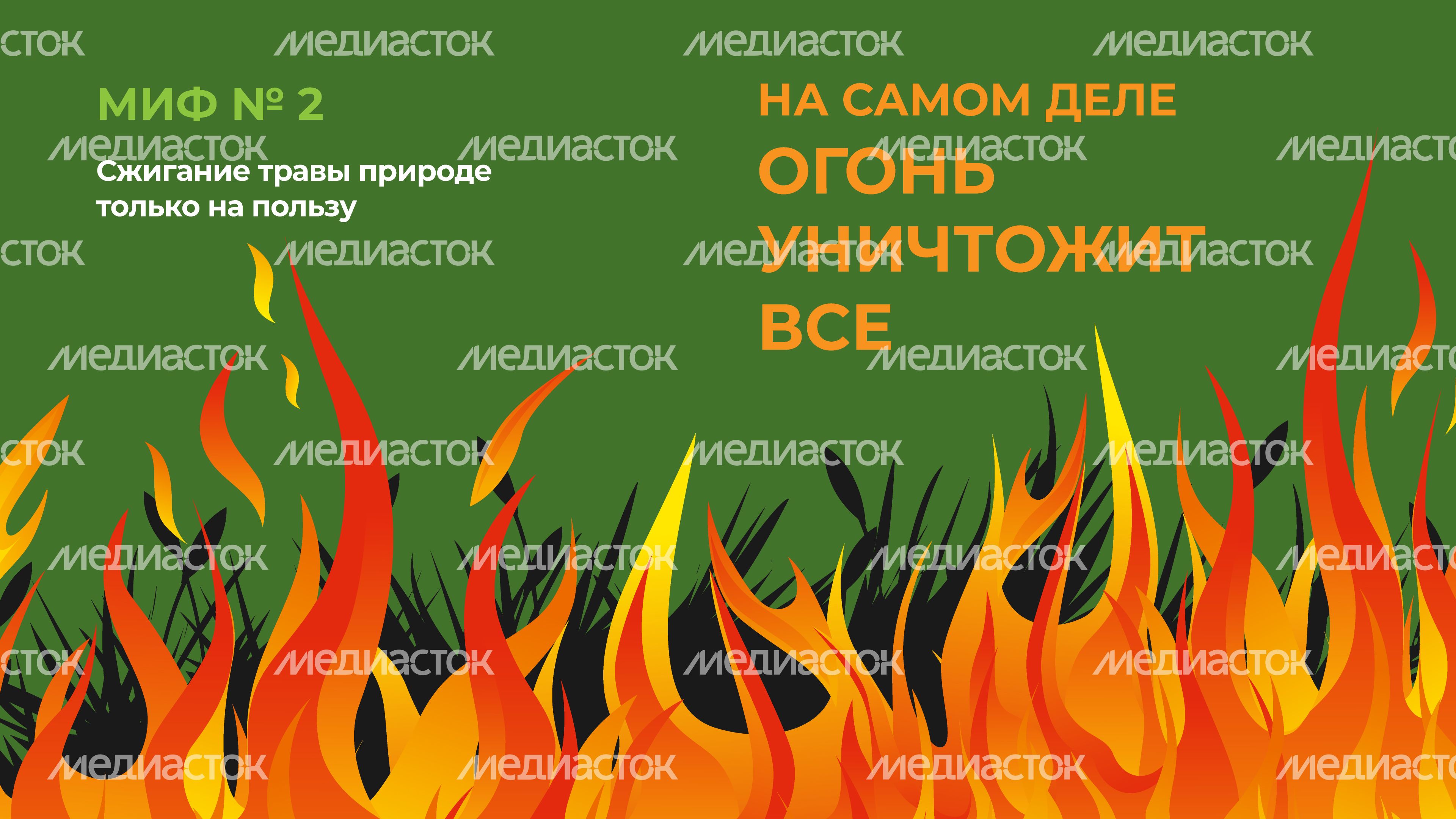 пал_гор_3.jpg