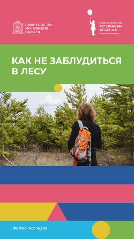 вертикаль как не заблудиться в лесу.jpg