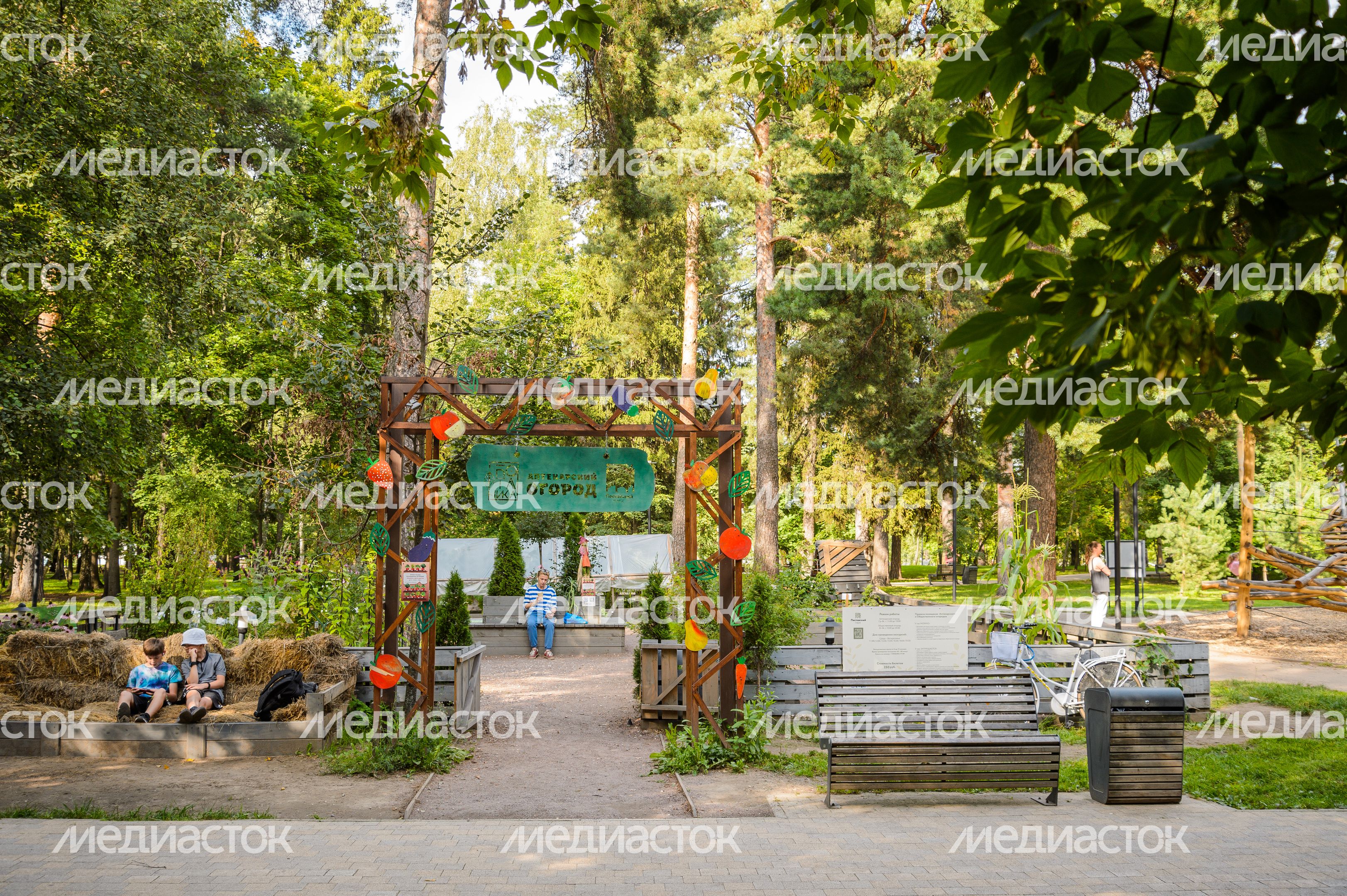 Балашиха. Пестовский парк Балашиха. Пестовский парк