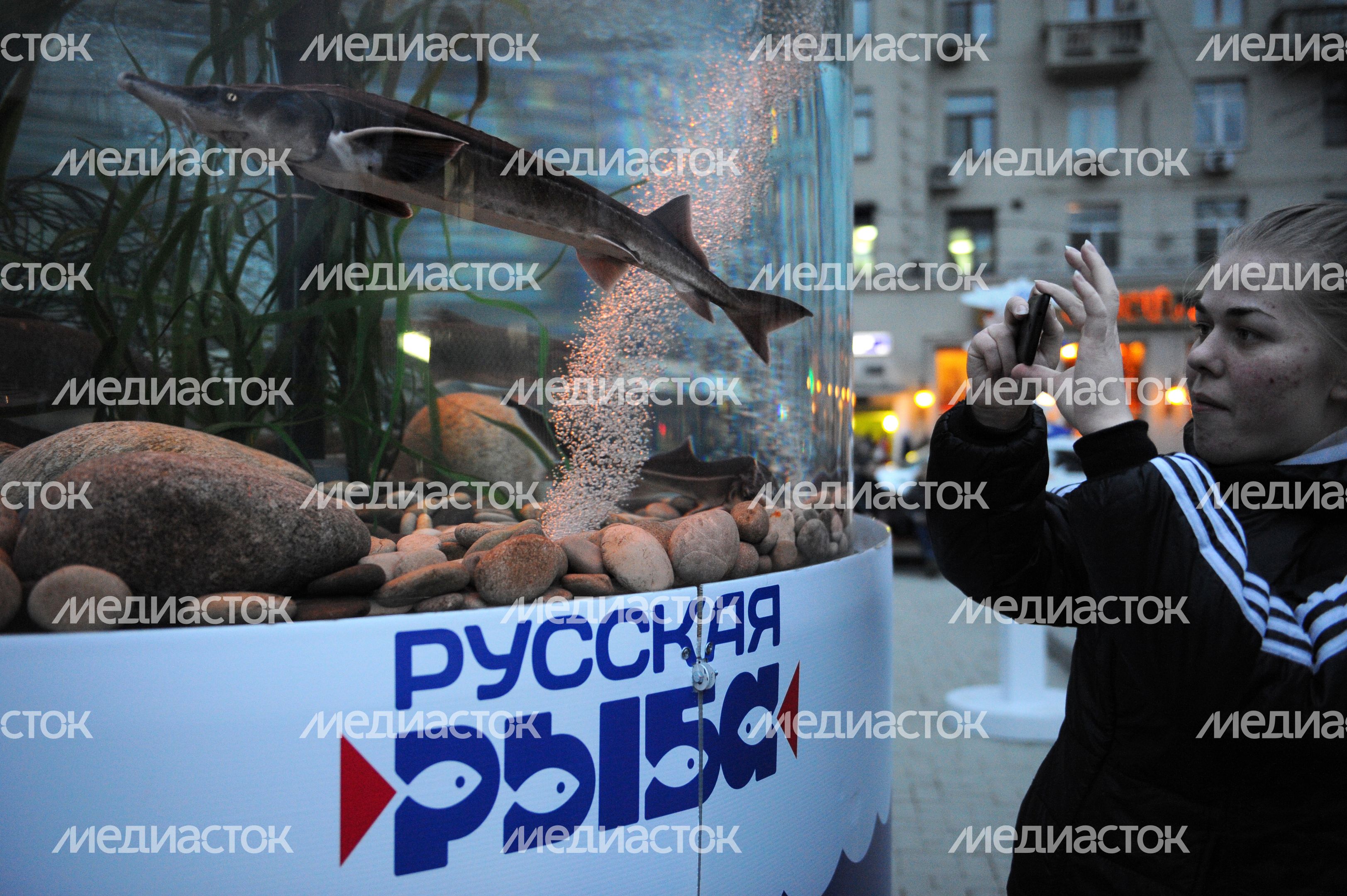 Всероссийский фестиваль «Рыбная неделя» в Москве