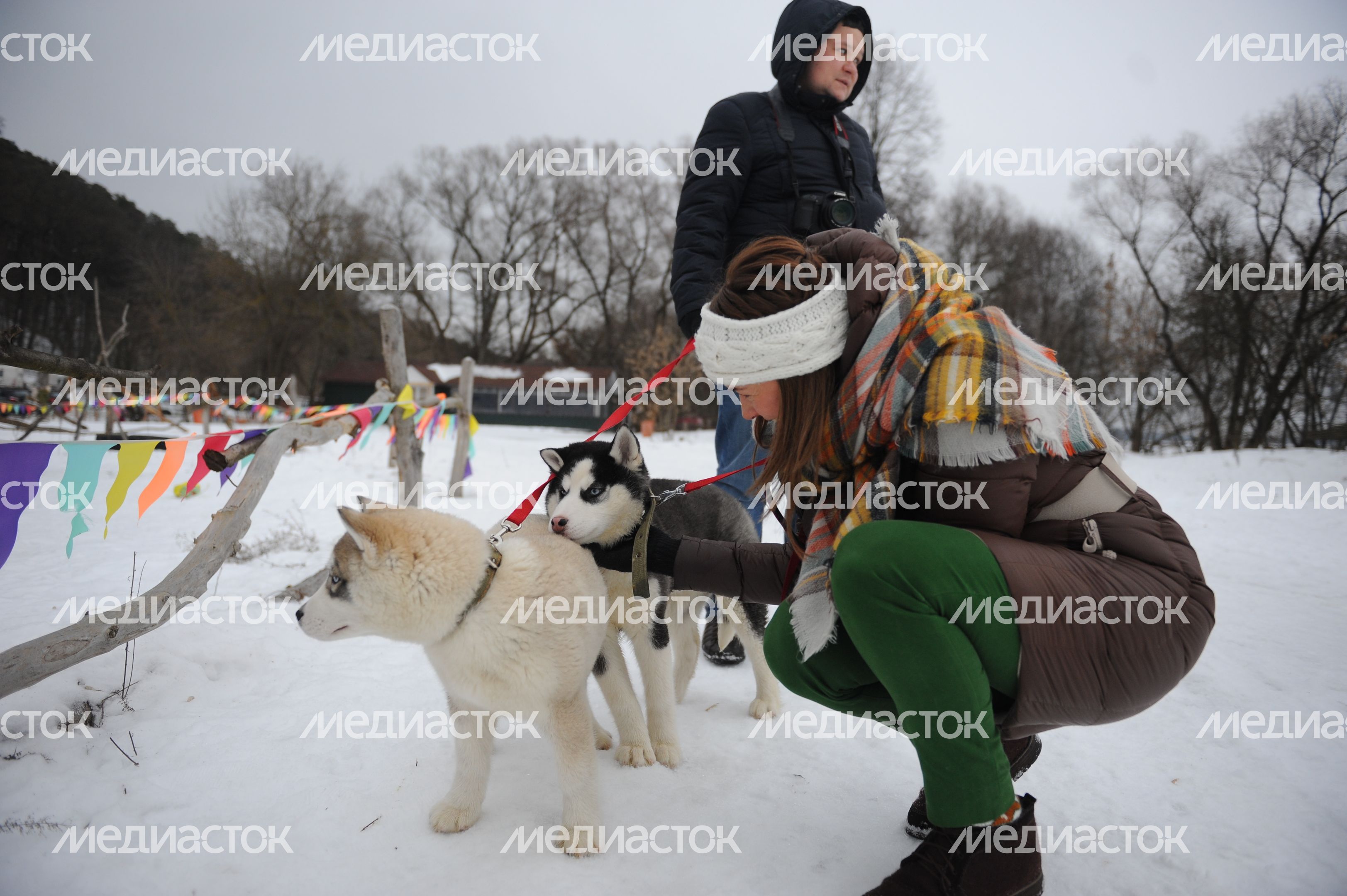 Эко Хаски Парк в Одинцовском районе