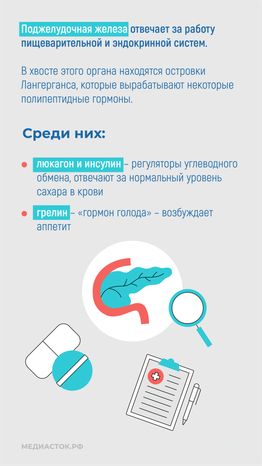 Эндокринные заболевания у наркозависимых вертикаль 08