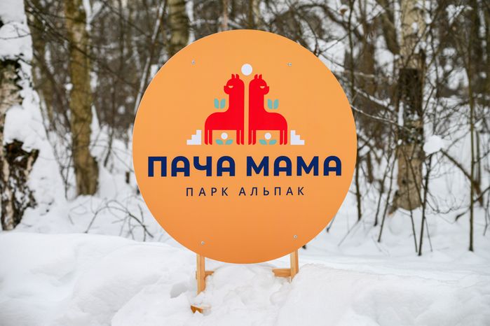Парк альпак «Пача мама» в парке «Взлет» Домодедово
