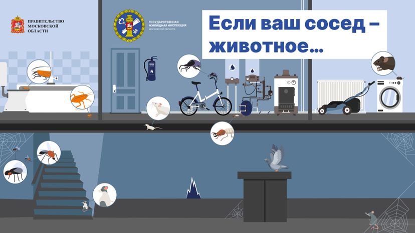 Результат опроса про домашних питомцев