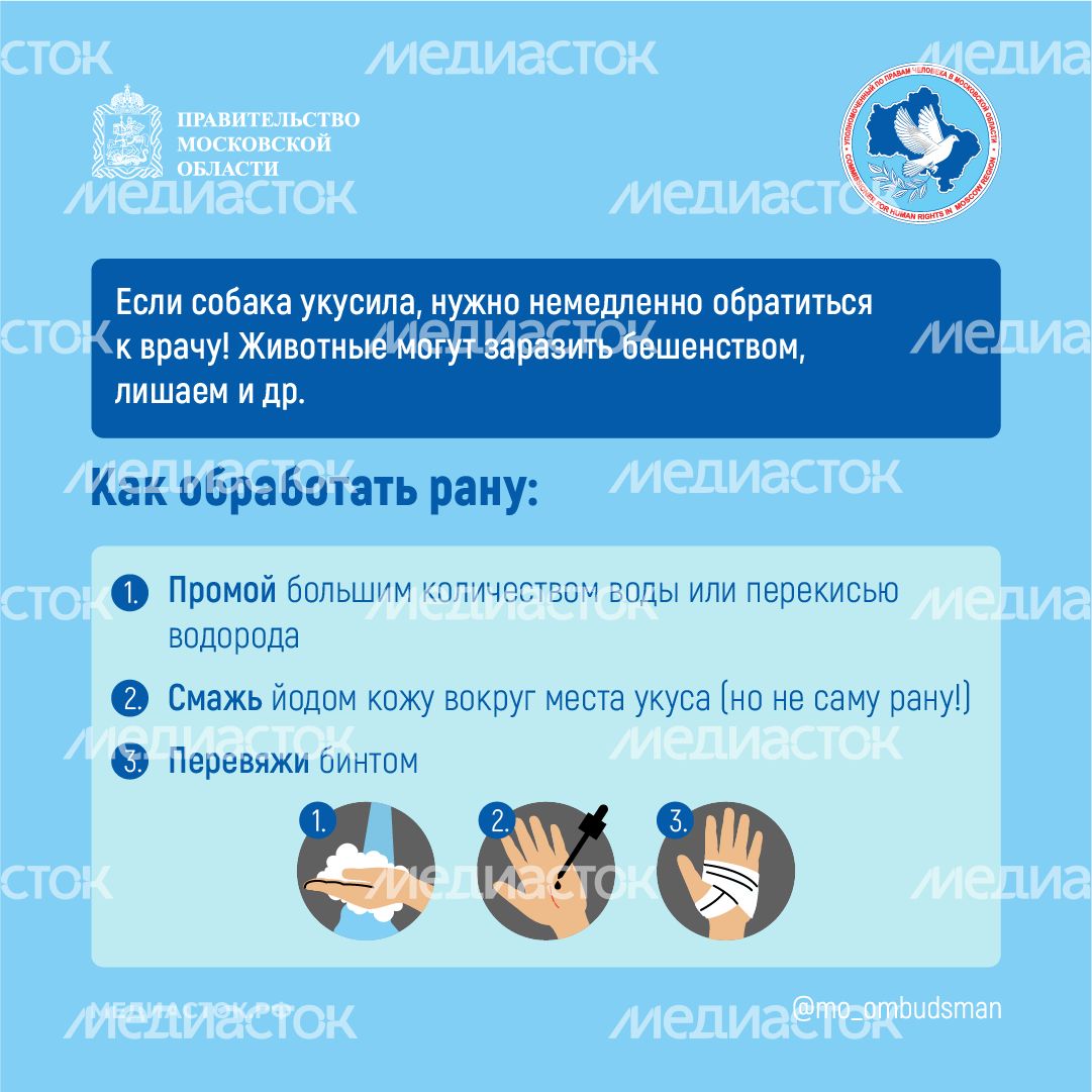 Осторожно злая собака квадрат 08 Осторожно злая собака квадрат 08