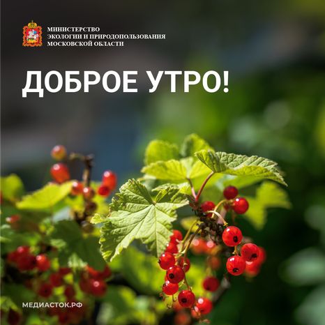 Доброе утро квадрат 04