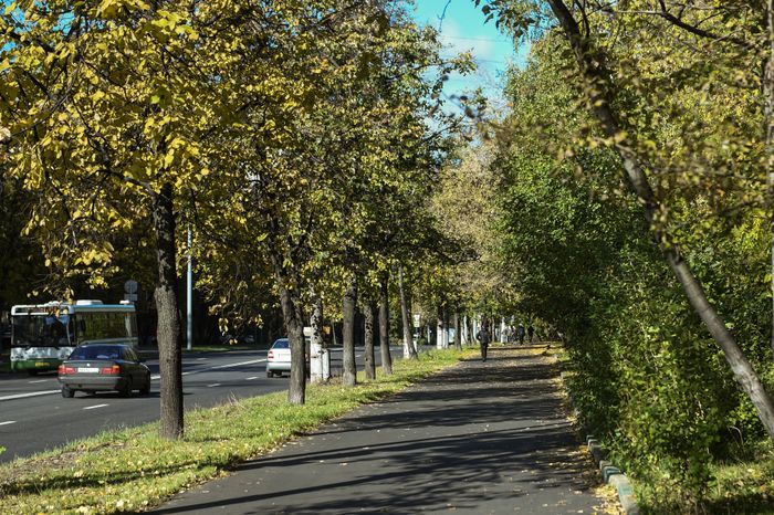 Пенсионеры на улицах Москвы