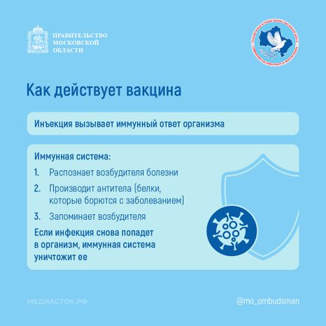 Вакцинация квадрат 04