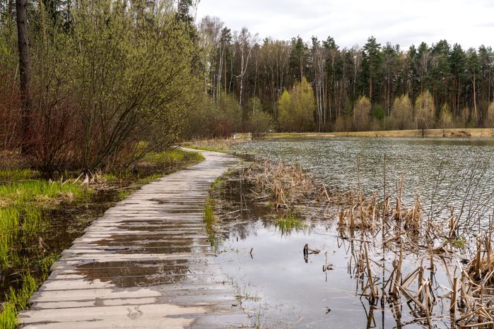 Мещерский парк в Одинцовском округе. Весна