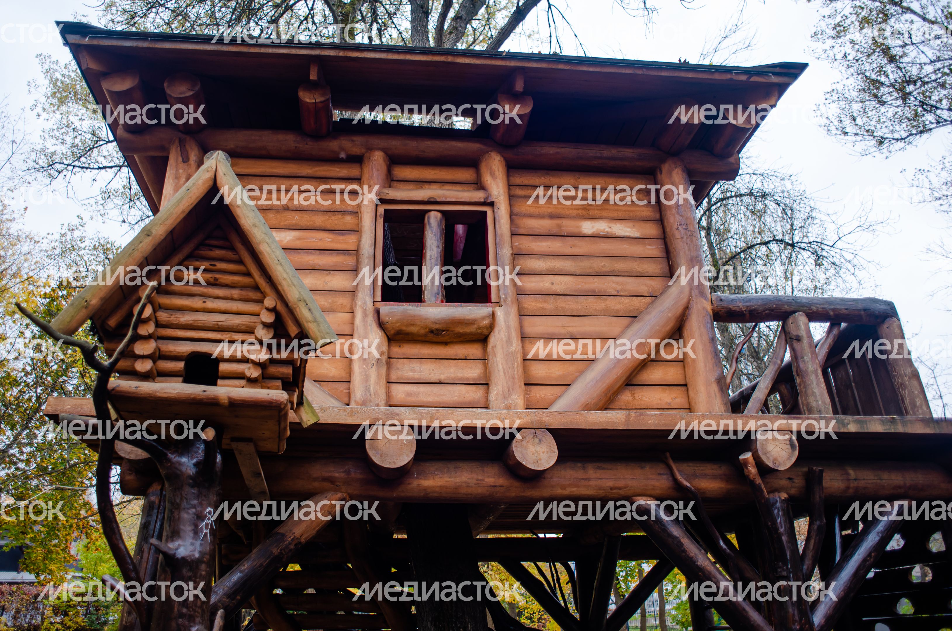 Осенние виды Городского парка в Щёлково