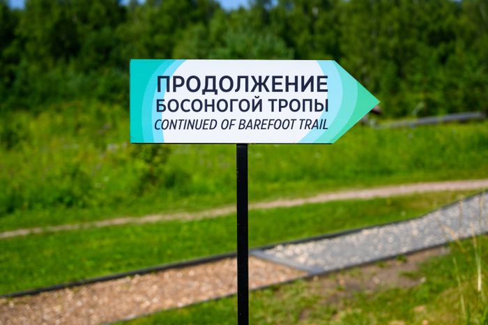 Эколого-просветительский комплекс "Дендрарий" в Мытищах