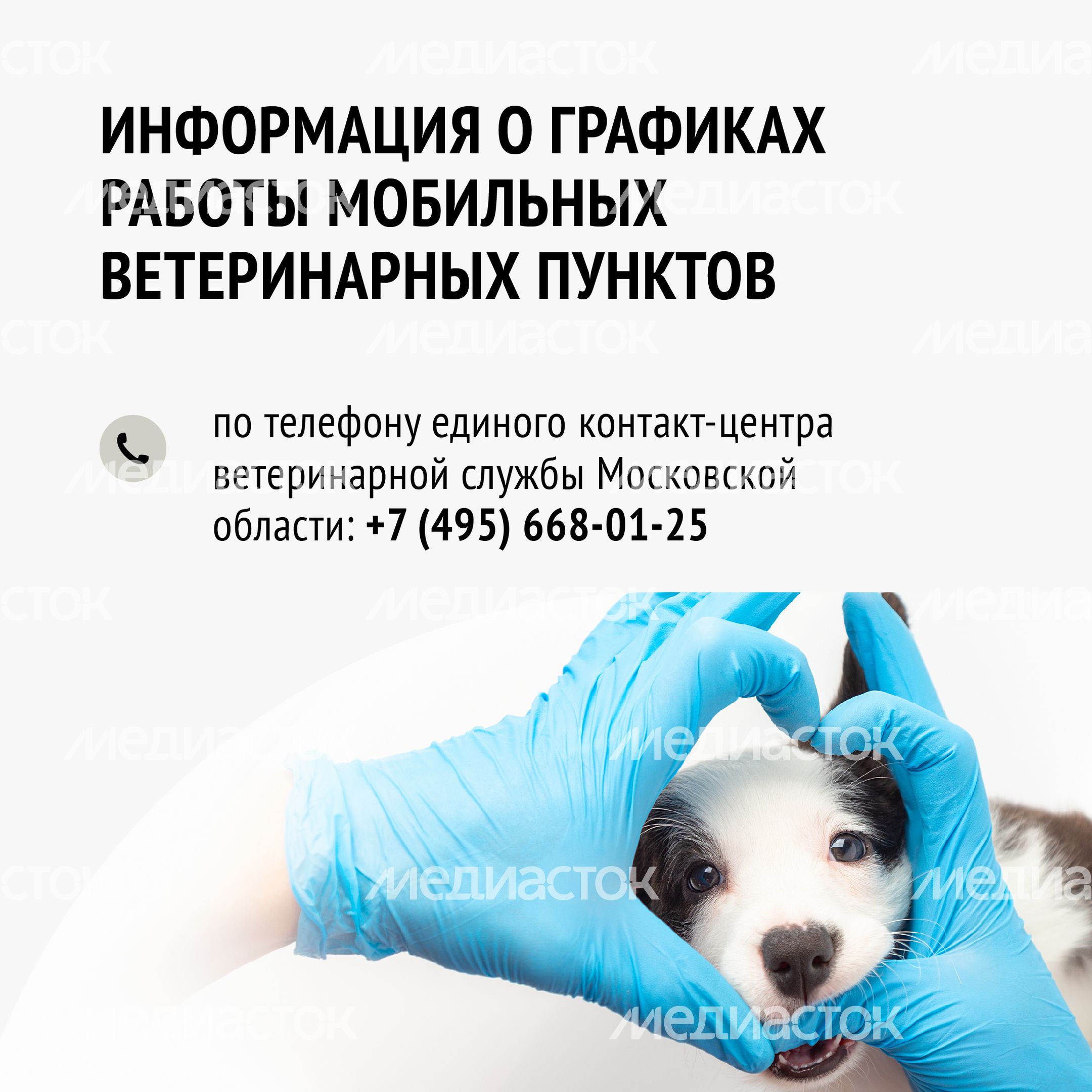 Вакцинация-23.jpg