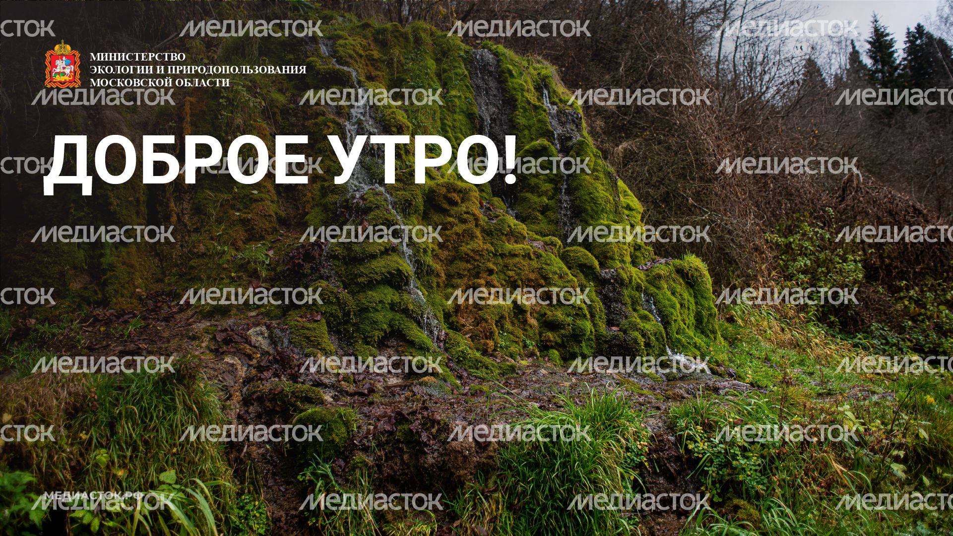 Доброе утро горизонталь 01
