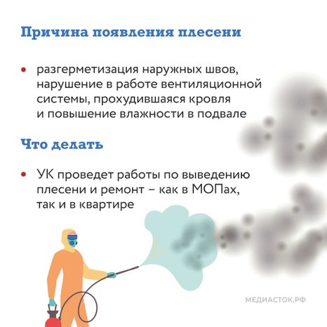 Плесень квадрат 03