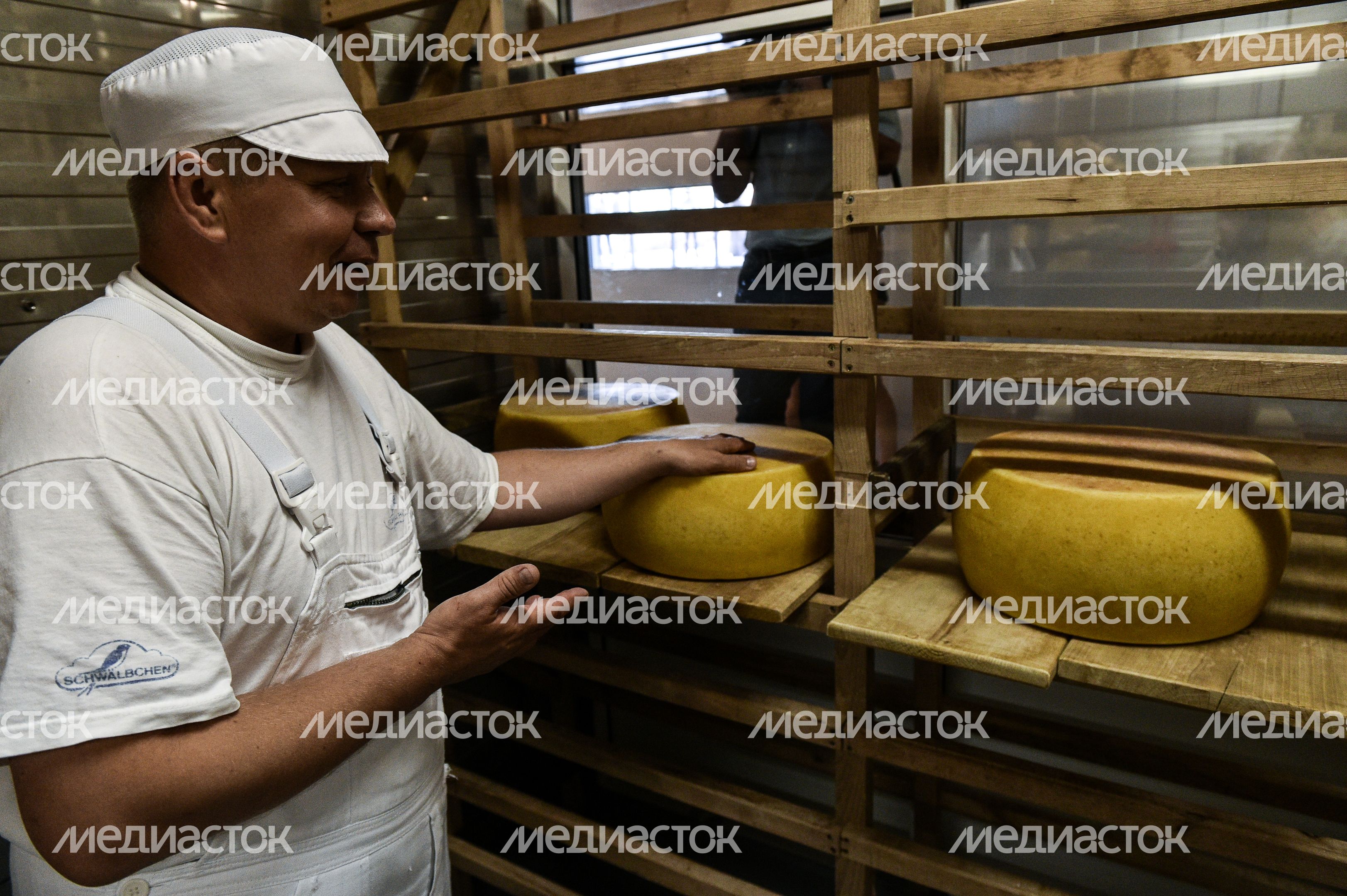 Работа сыроварни Олега Сироты в подмосковье Работа сыроварни Олега Сироты в подмосковье