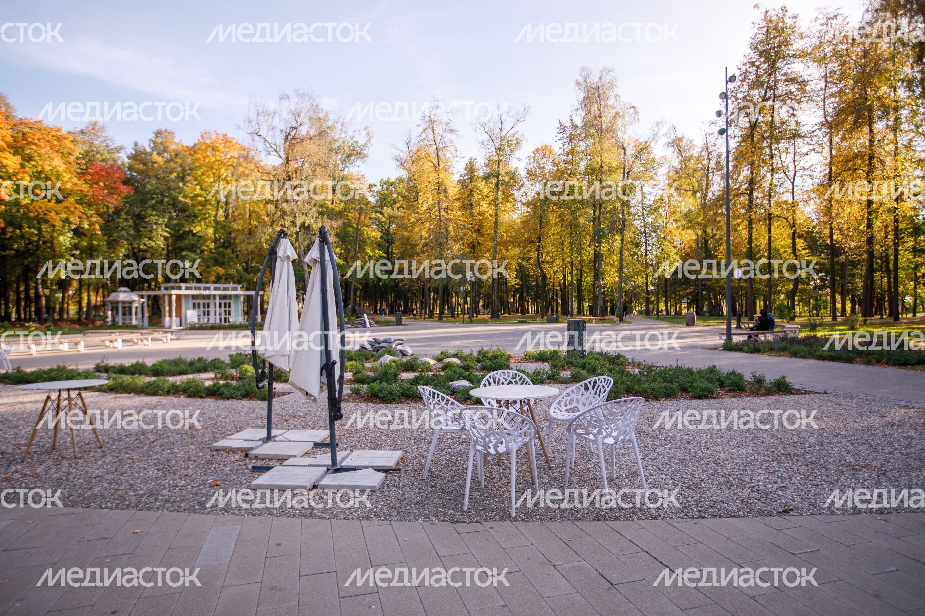 Воскресенск. Парк усадьбы Кривякино Воскресенск. Парк усадьбы Кривякино