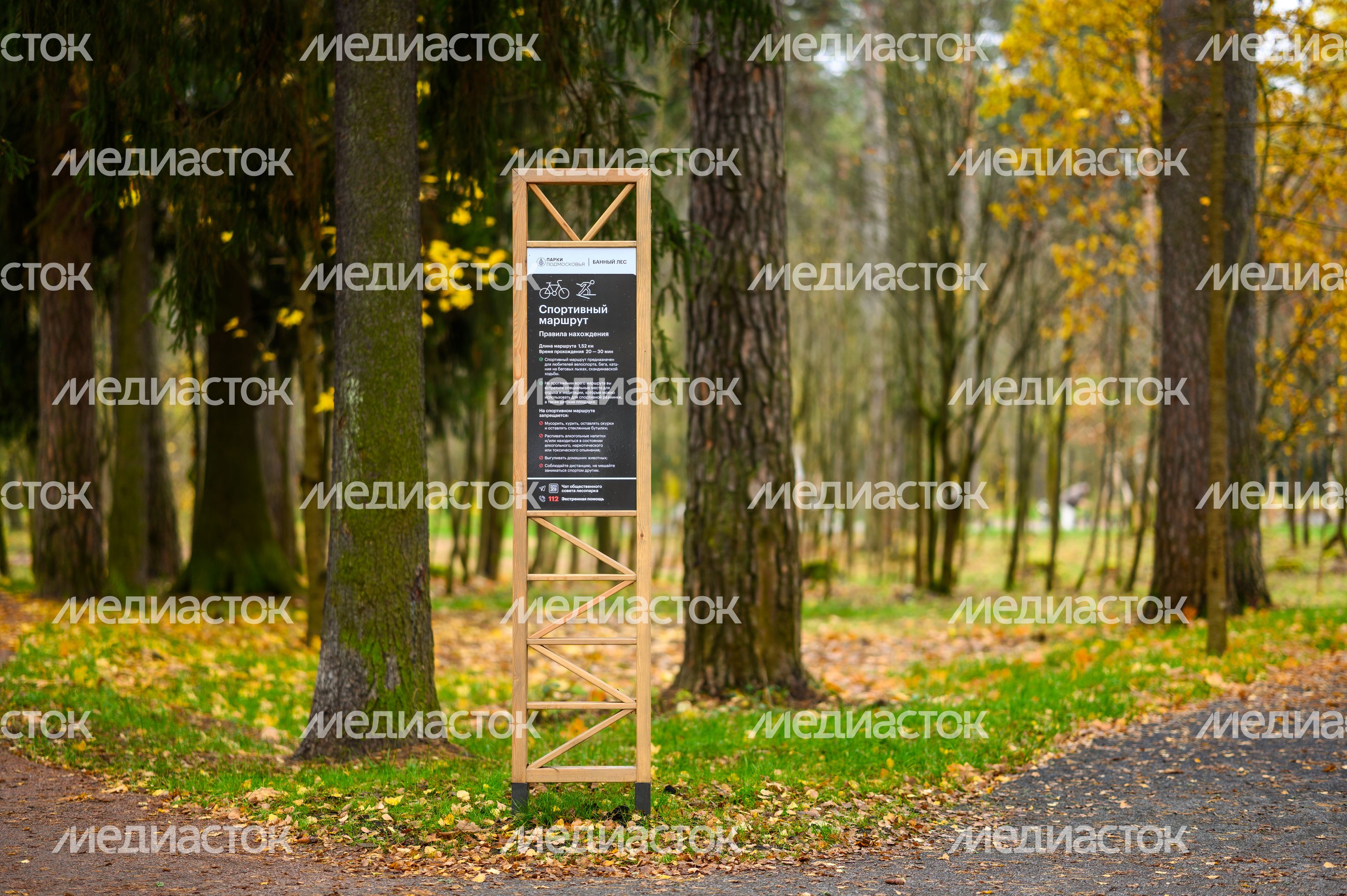 Лесопарк «Банный лес» в Красноармейске осенью Лесопарк «Банный лес» в Красноармейске осенью