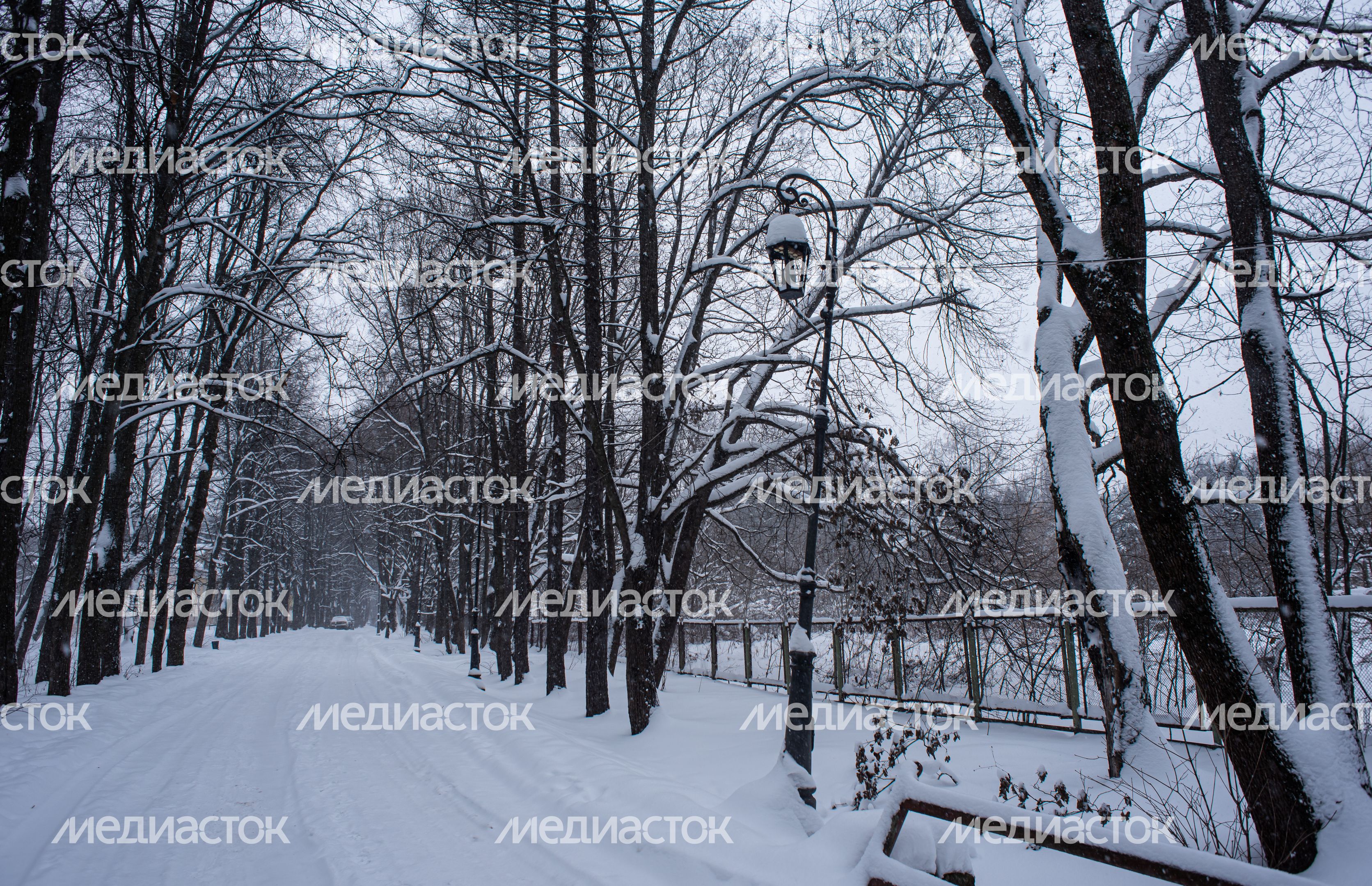 Зимние виды усадьбы Суханово