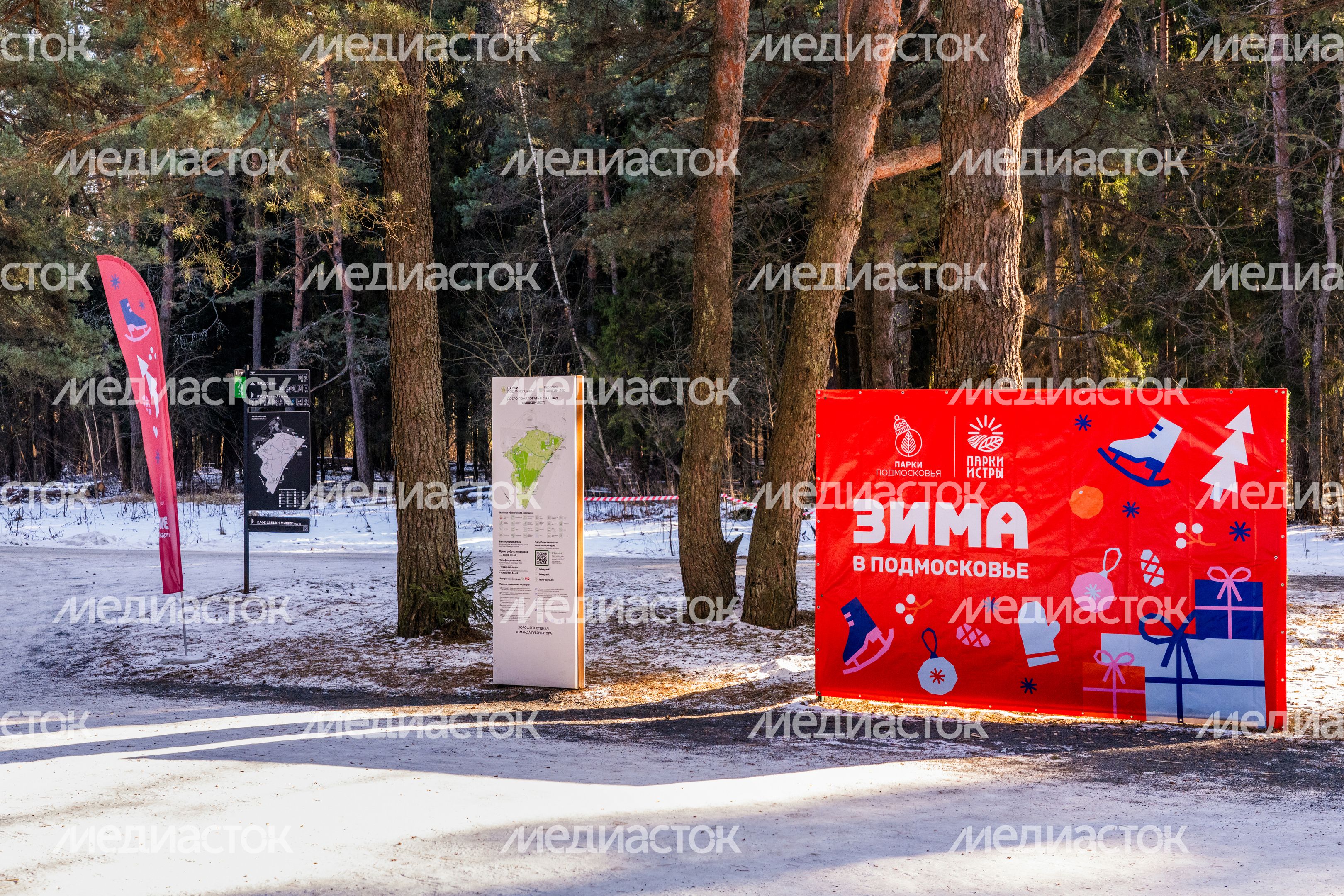 Зима в лесопарке «Шишкин лес» Зима в лесопарке «Шишкин лес»