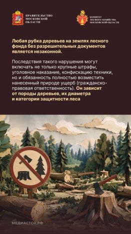 Незаконная рубка вертикаль 09