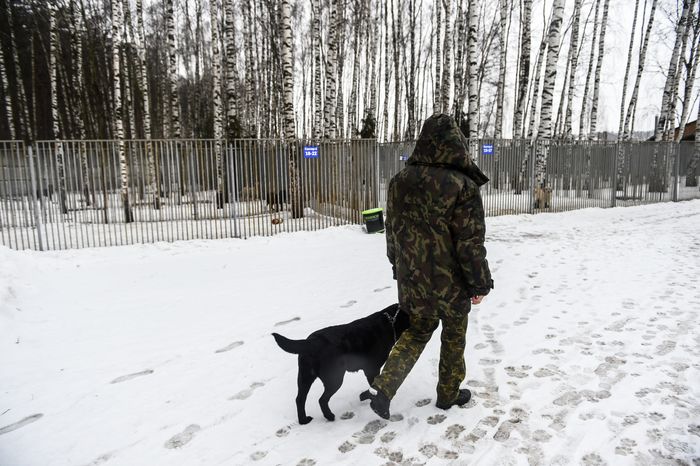 Школа собак‑проводников в Подмосковье