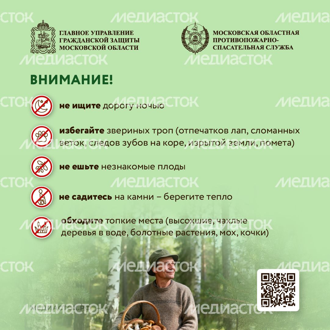 Как подготовиться к походу в лес квадрат 09 Как подготовиться к походу в лес квадрат 09