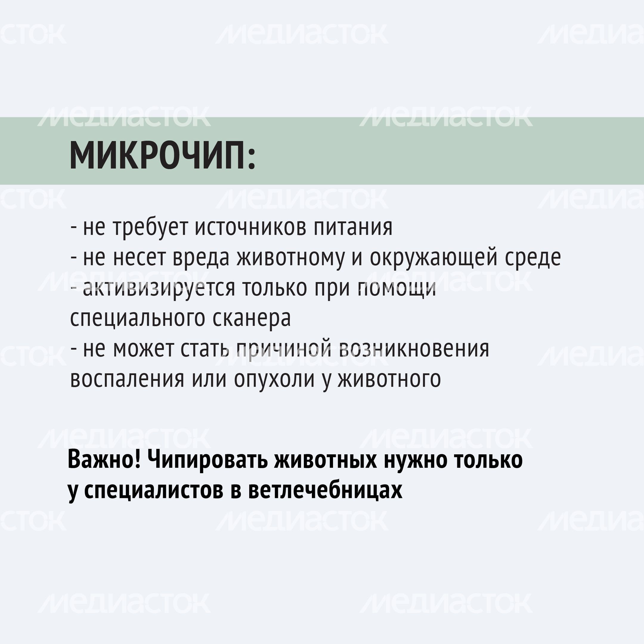 Чипирование-16.jpg