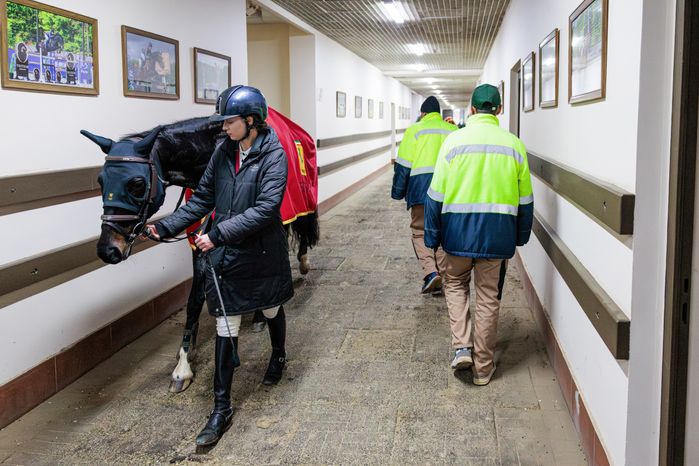 Всероссийские соревнования по конному спорту «Конкурный бум» в КСК «Виват, Россия!» Ленинского округа