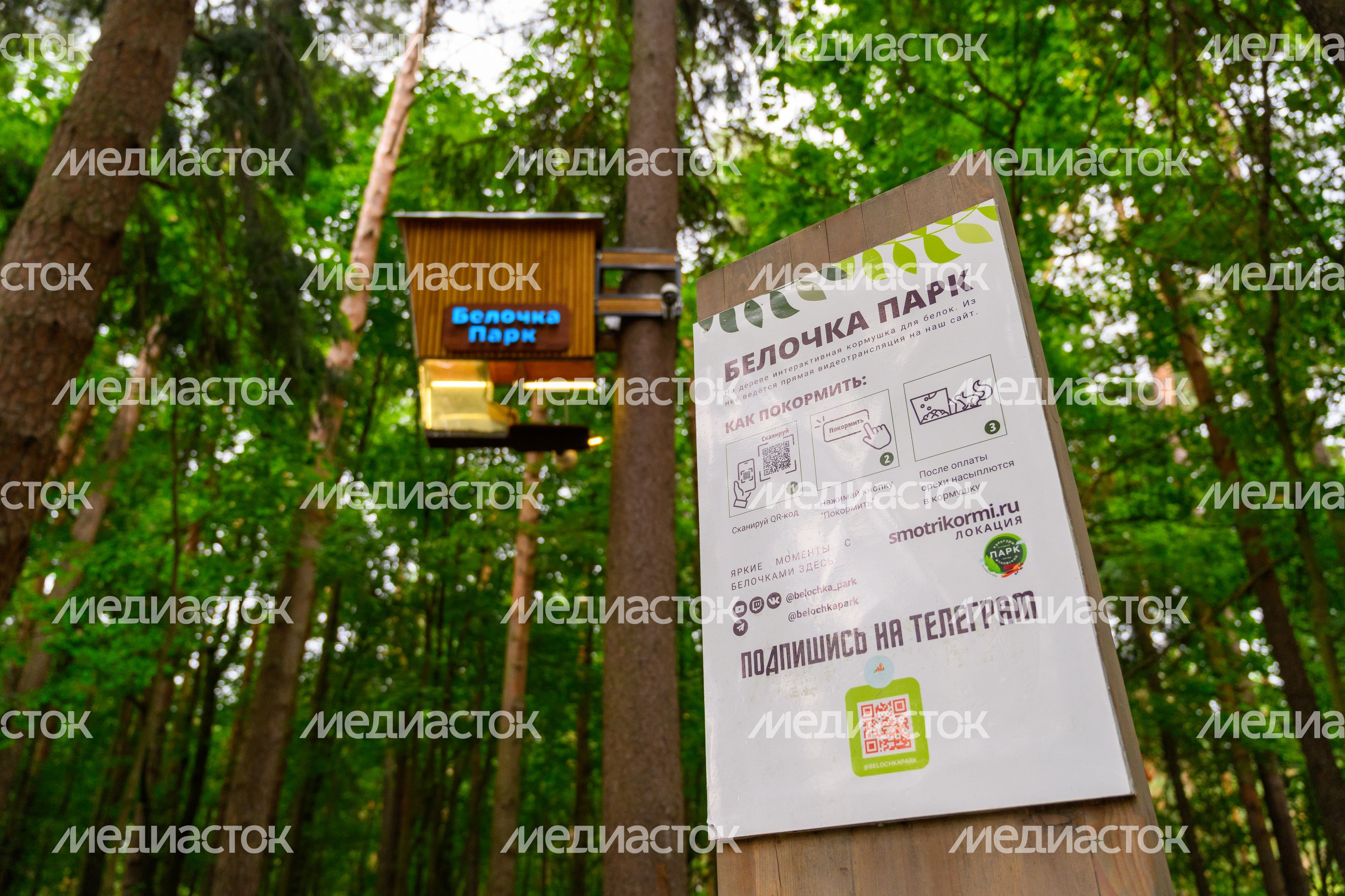 Центральный парк культуры и отдыха Жуковского летом Центральный парк культуры и отдыха Жуковского летом