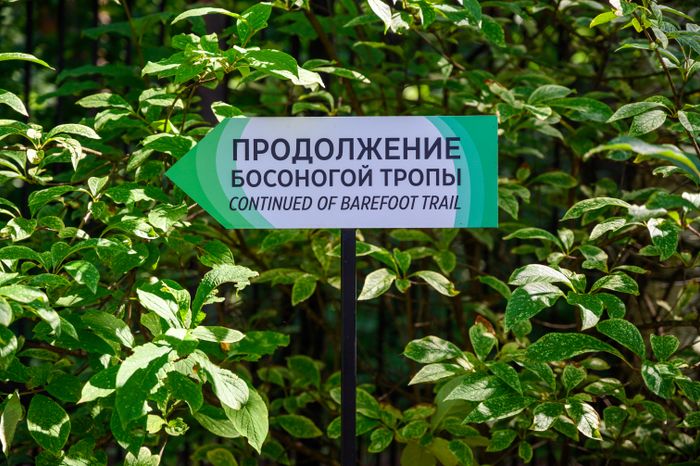Эколого-просветительский комплекс "Дендрарий" в Мытищах