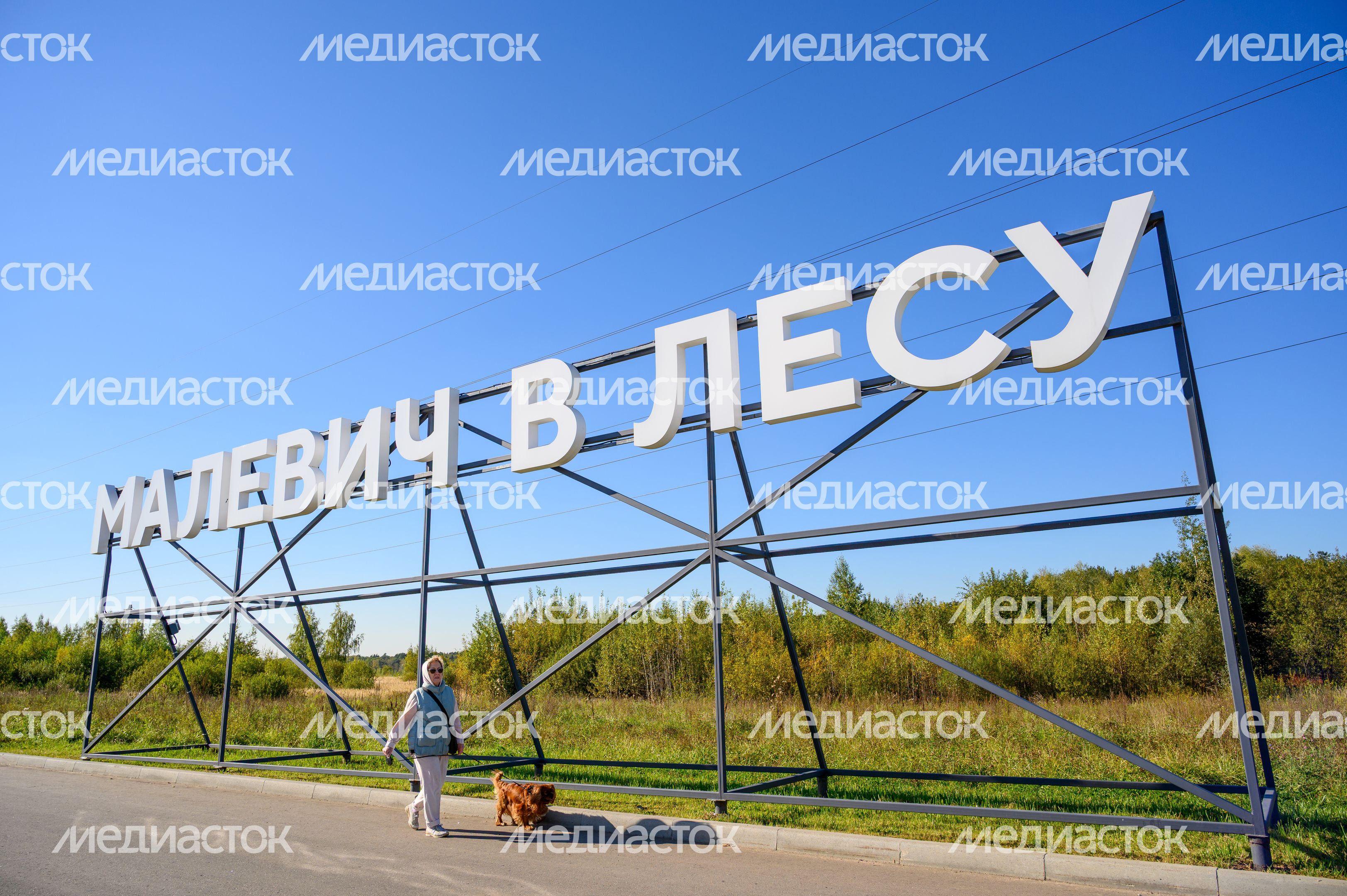 Прогулка по парку Малевича осенью Прогулка по парку Малевича осенью