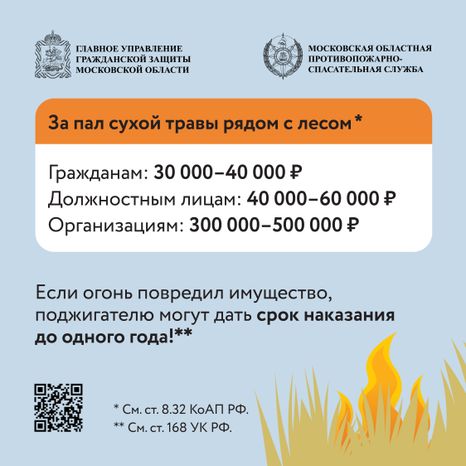 Пал травы-2024_Квадрат-05