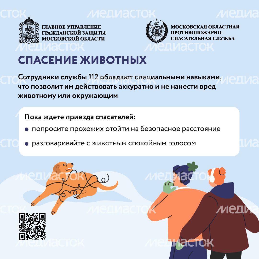 Помощь усатым - квадрат-02
