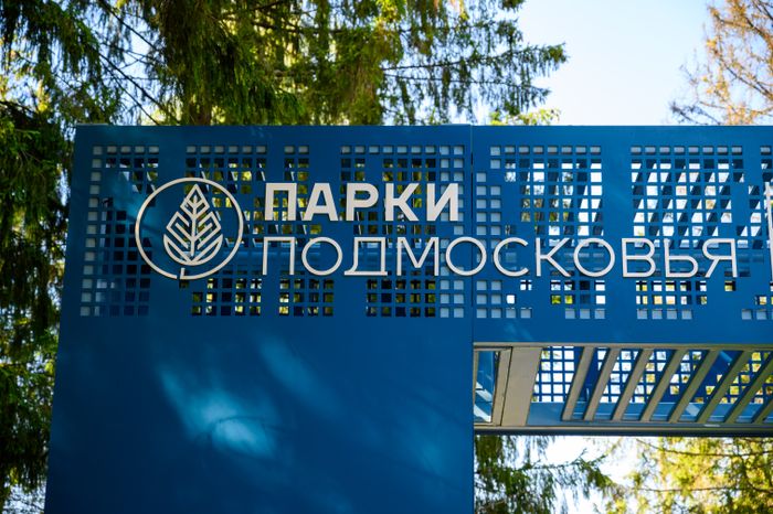 Лесопарк «Загорское море» летом в Сергиевом Посаде