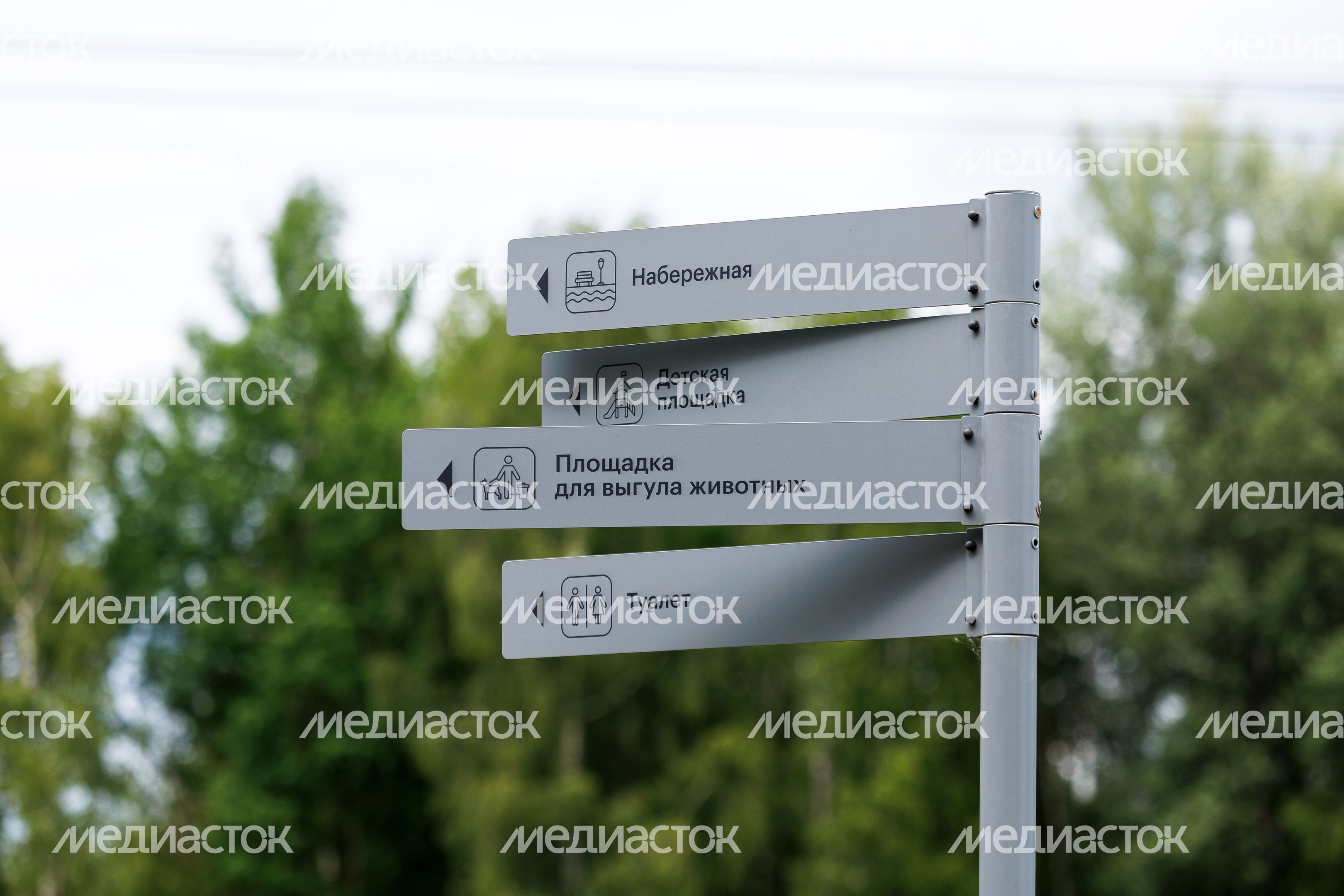 Лето в Городском парке культуры отдыха в Ивантеевке Пушкинского округа Лето в Городском парке культуры отдыха в Ивантеевке Пушкинского округа