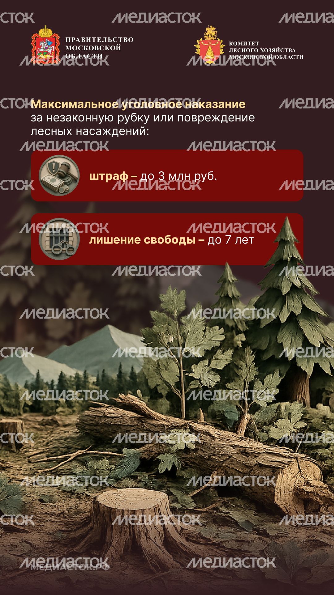 Незаконная рубка вертикаль 08