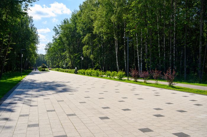 Широкая дорожка для прогулок в парке «Авангард» летом в Электростали