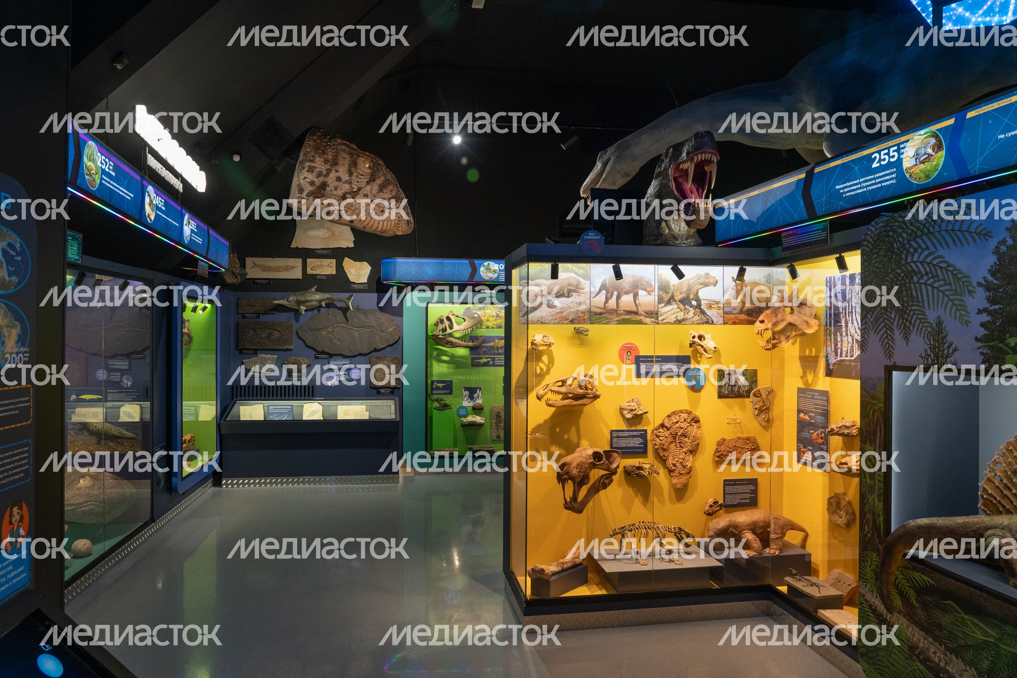 Музей истории мироздания в Истре