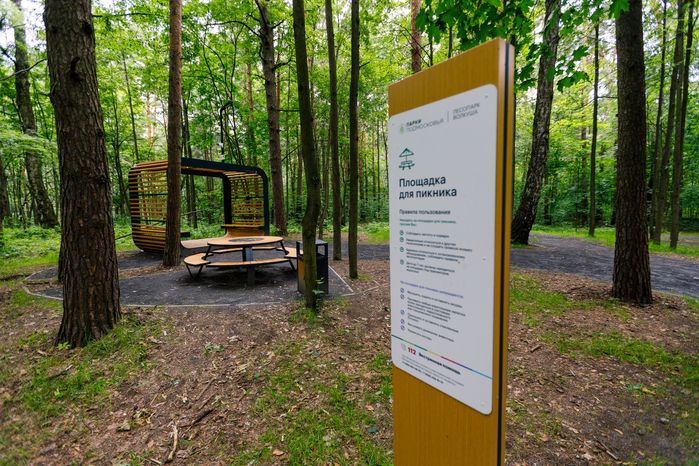 Площадка для пикника в лесопарке «Волкуша» в Лыткарино