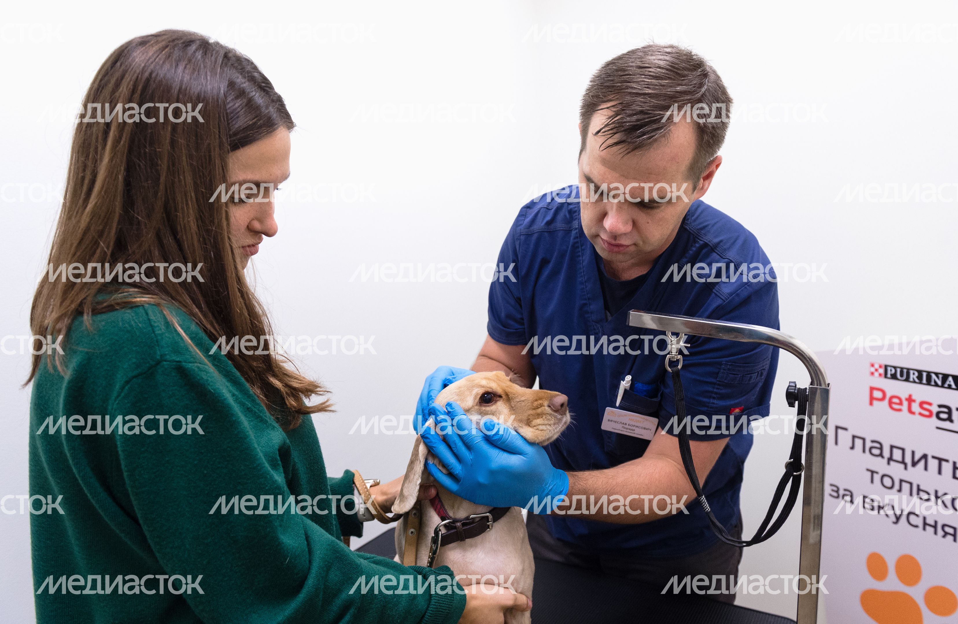 Pet‑friendly офис Purina