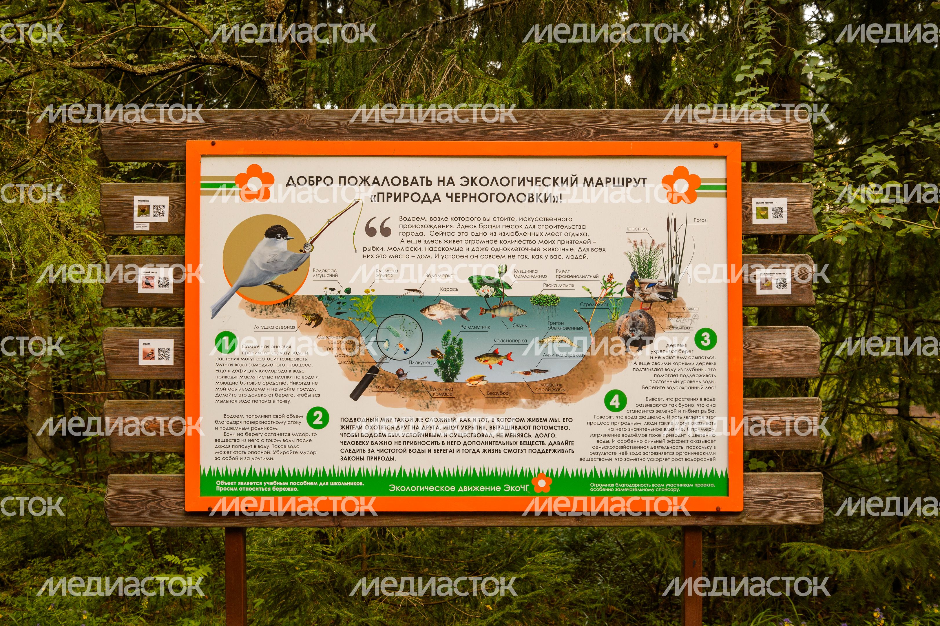 Горокруг Черноголовка. Летние виды реки Черноголовки Горокруг Черноголовка. Летние виды реки Черноголовки
