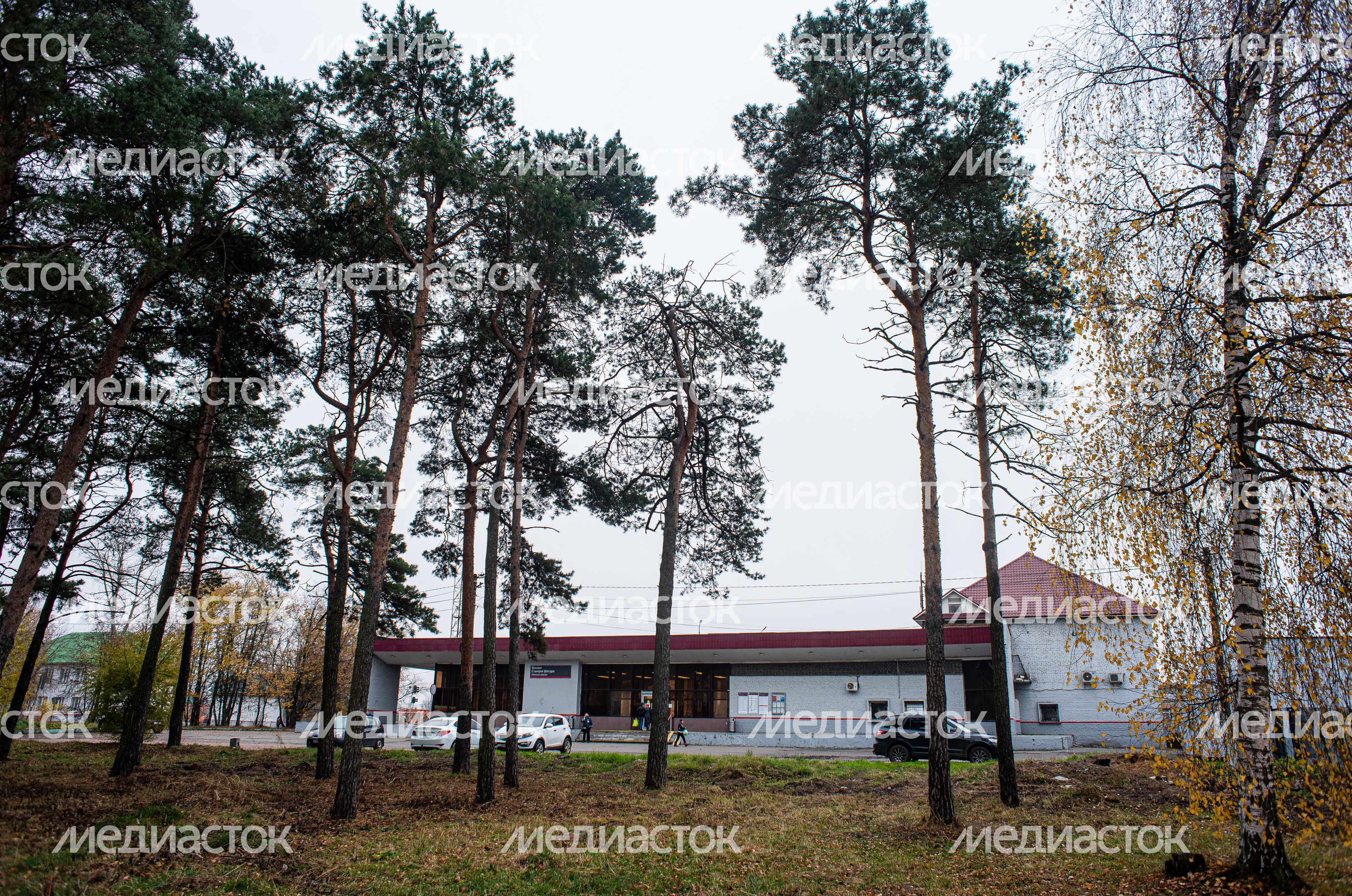 Осенние виды города Шатура