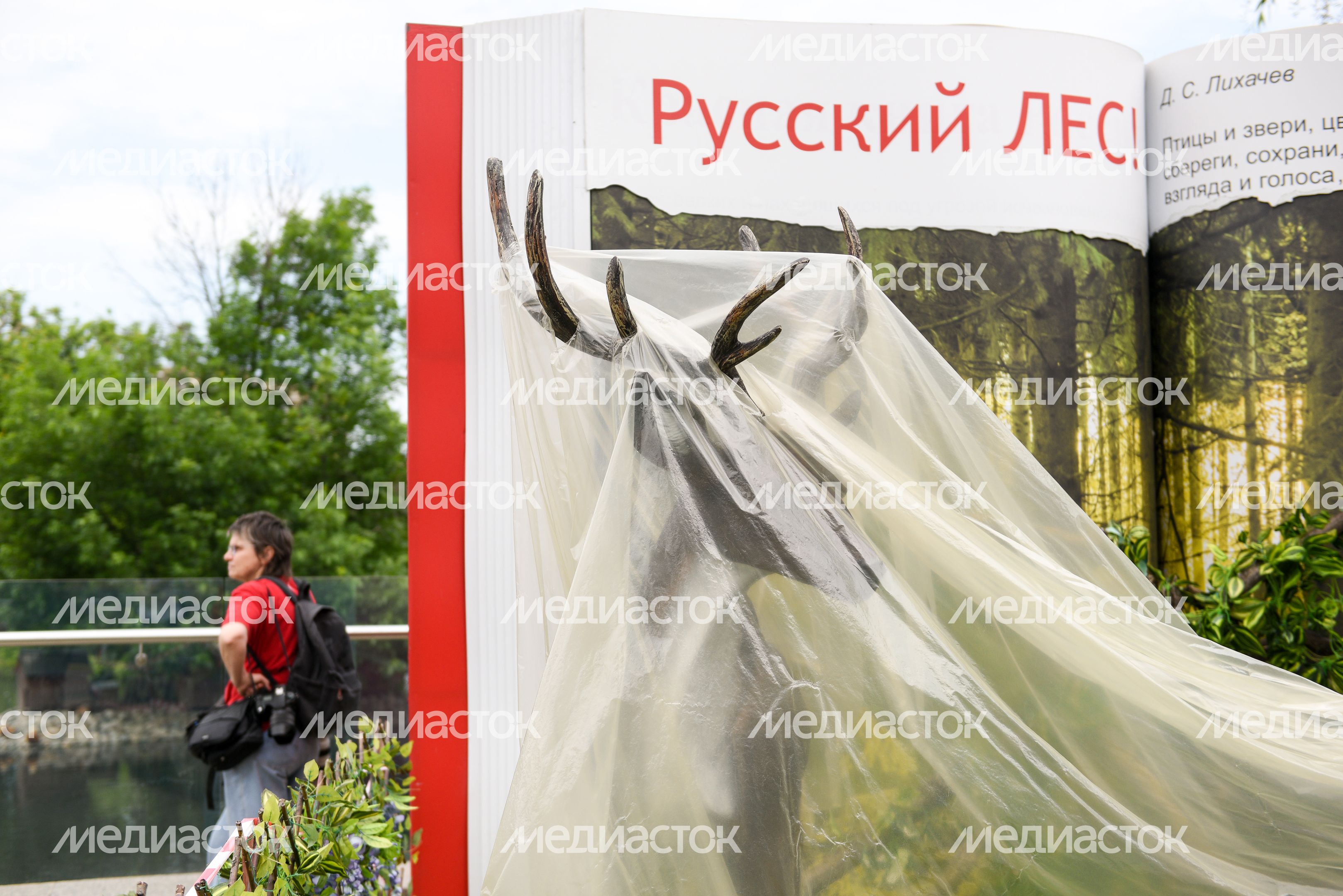 Подготовка к открытию Московского зоопарка после режима самоизоляции