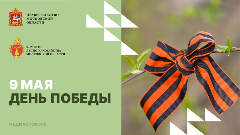 Открытка 9 мая 2026 3 Горизонталь 01