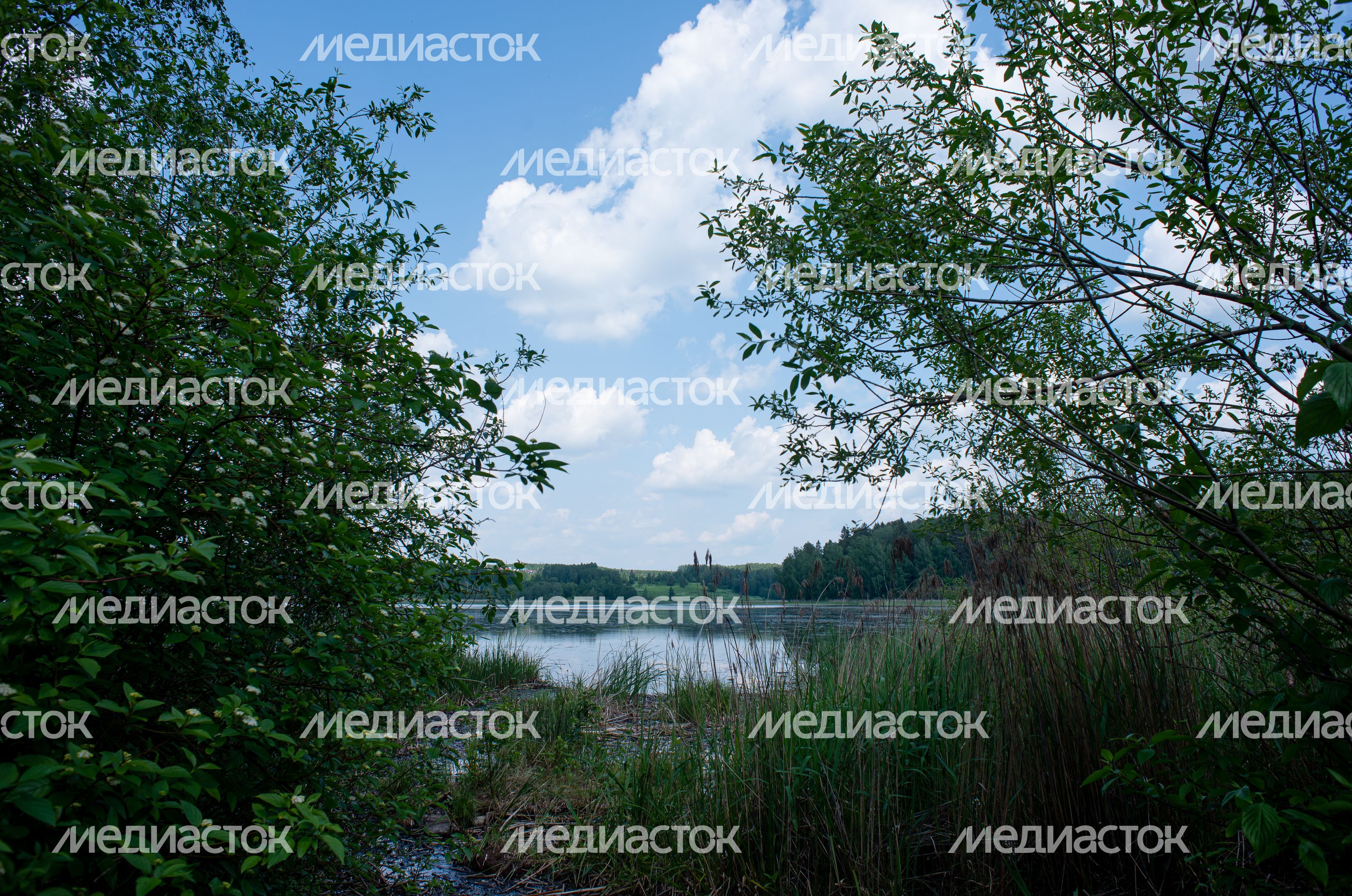 Яхромское водохранилище