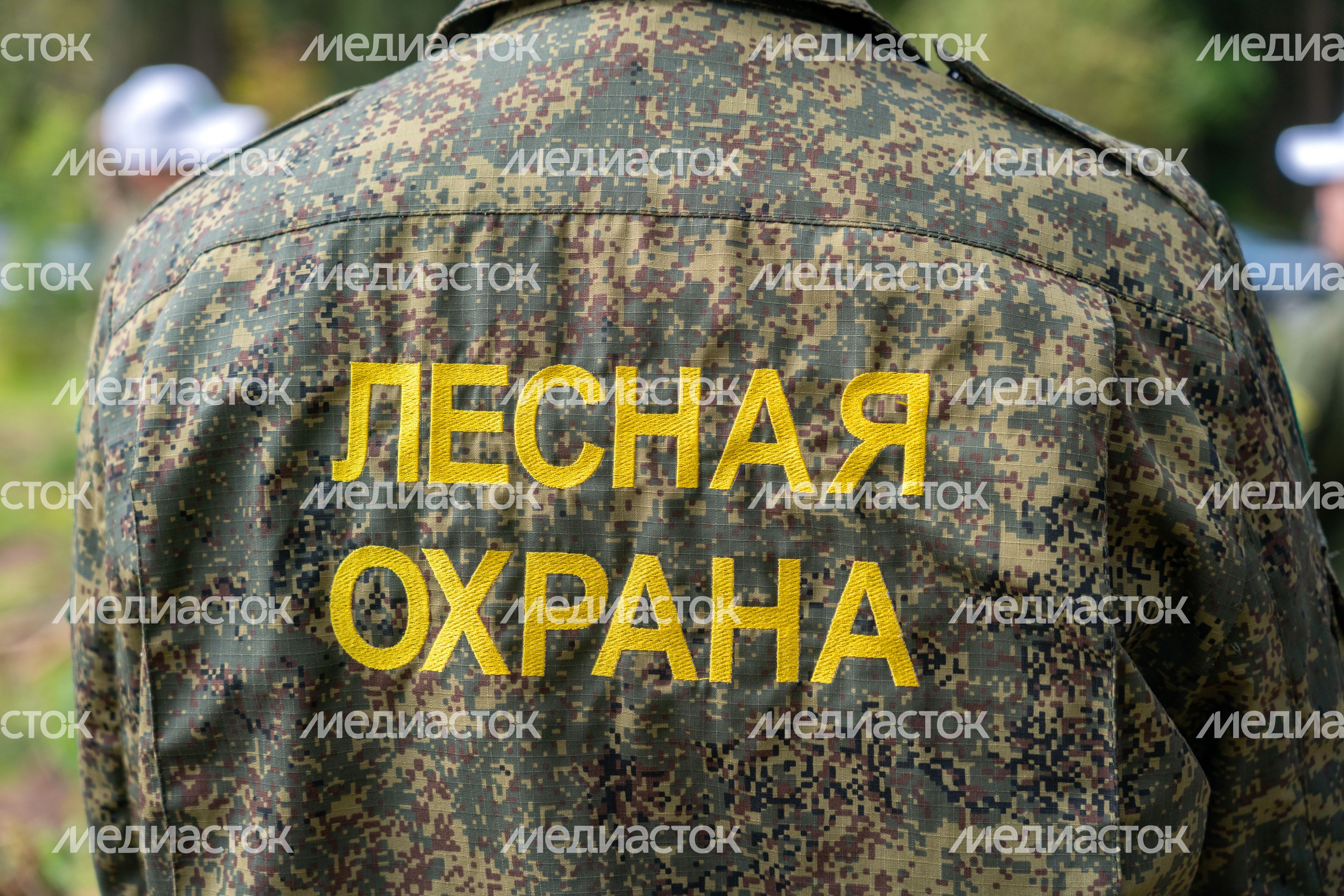 Саженцы сосны и ели высадили на экологической акции «Сохраним лес» в Рузском округе Саженцы сосны и ели высадили на экологической акции «Сохраним лес» в Рузском округе