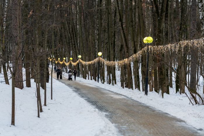 Зима в Красногорском городском парке