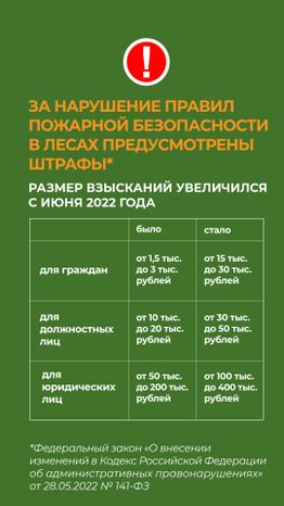 комлесхоз_костер_верт_5.jpg