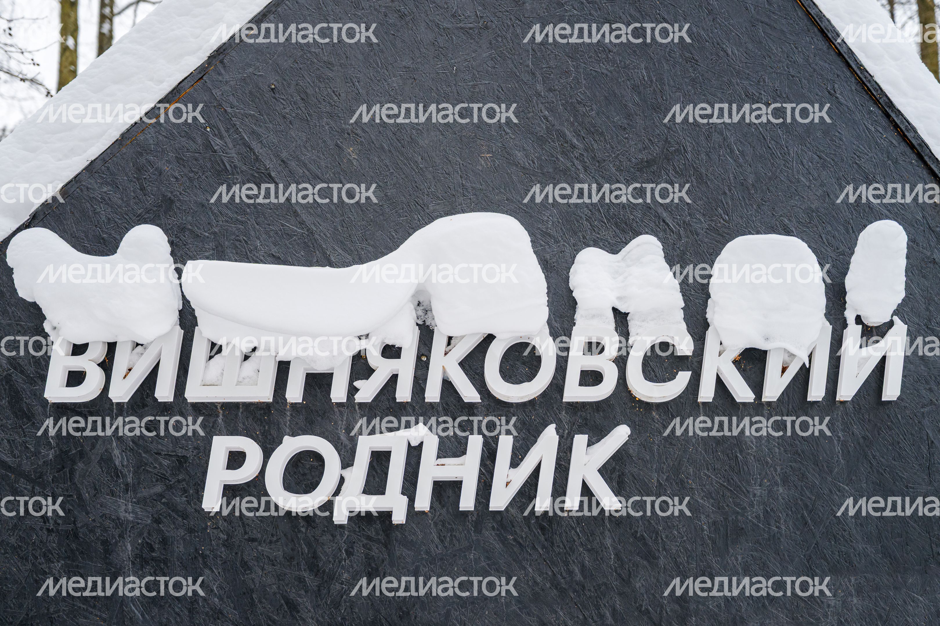 Вишняковский лесопарк в Балашихе. Зима Вишняковский лесопарк в Балашихе. Зима